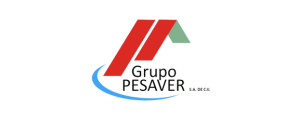 logo grupo pesaver